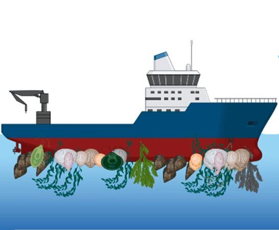 Biofouling Management Plan BFMP