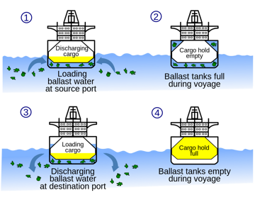 Ballast_water_en_svg-bez fona